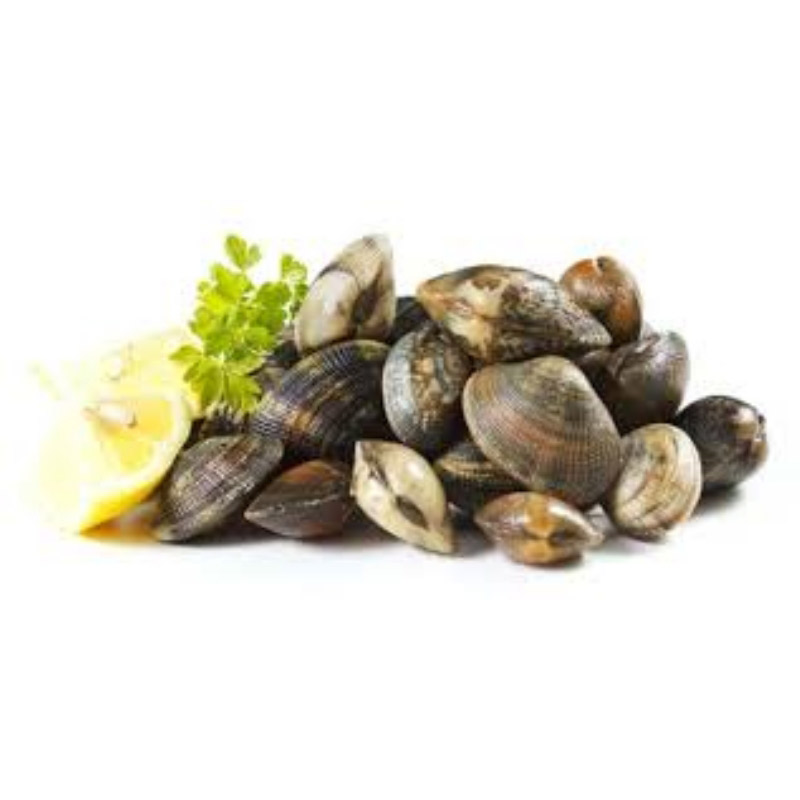 VONGOLE+BROWN+60%2F80+CN%3Cbr%3E%3Ci%3EAlimentare%3C%2Fi%3E