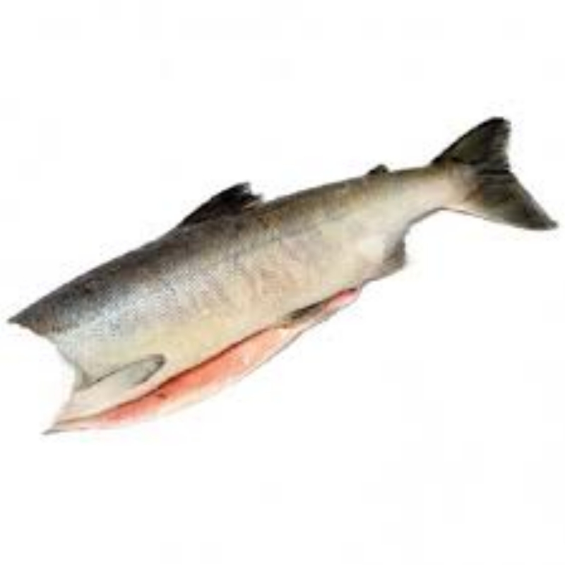 SALMONE+KETA+INTERO+KG++3%2E5+CC%2E%3Cbr%3E%3Ci%3EAlimentare%3C%2Fi%3E