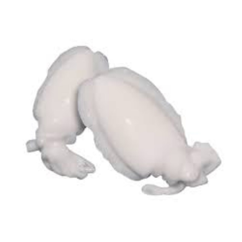 SEPPIA+INDOPACIFICA+41%2F60+G%2E+800+SGOCC%3Cbr%3E%3Ci%3EAlimentare%3C%2Fi%3E