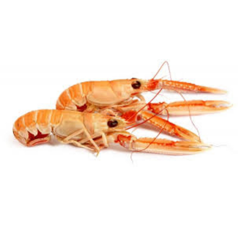 SCAMPI+INTERI+SCOZIA+21%2F30+CN+G+750+SGOC%3Cbr%3E%3Ci%3EAlimentare%3C%2Fi%3E